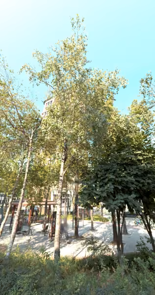 tree photo
