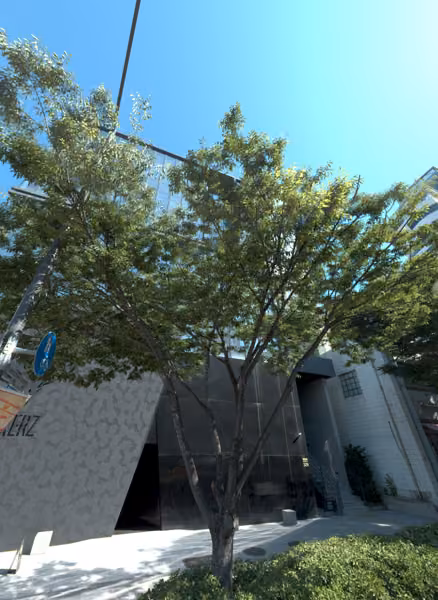 tree photo