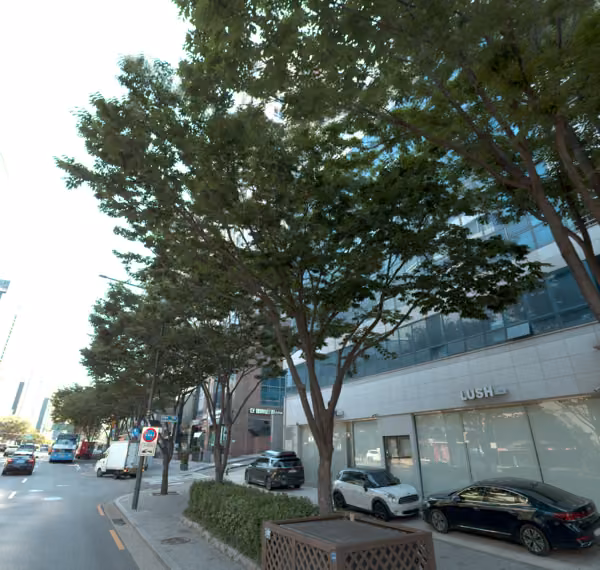tree photo