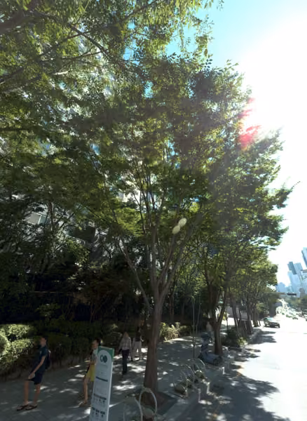 tree photo