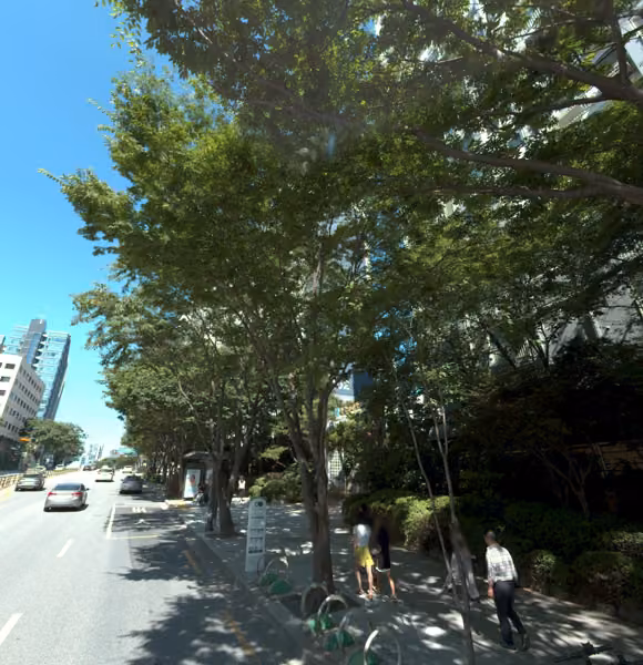 tree photo