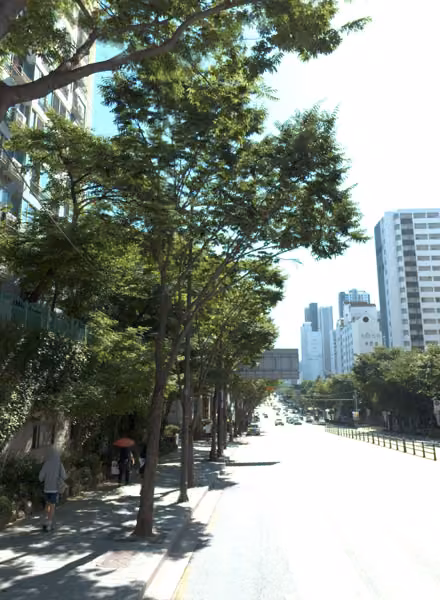 tree photo