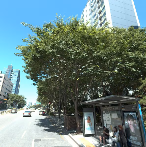 tree photo