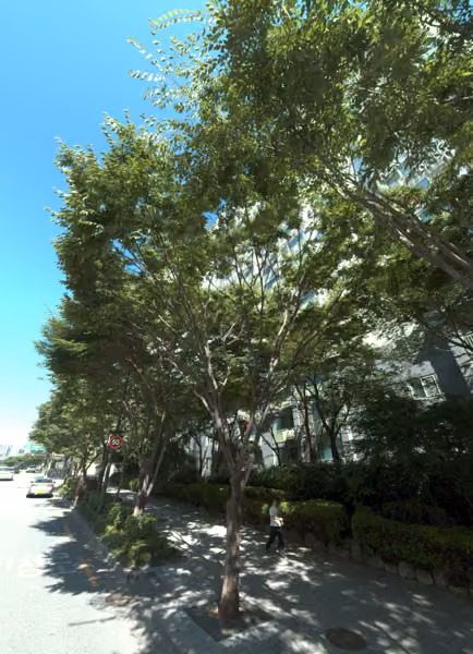 tree photo