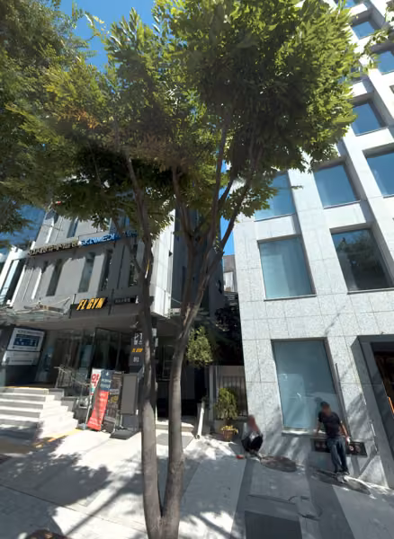 tree photo