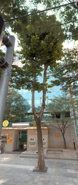 tree photo