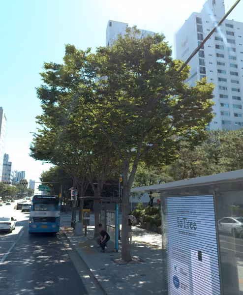 tree photo