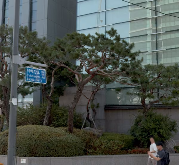 tree photo