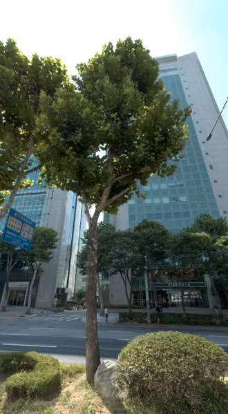 tree photo