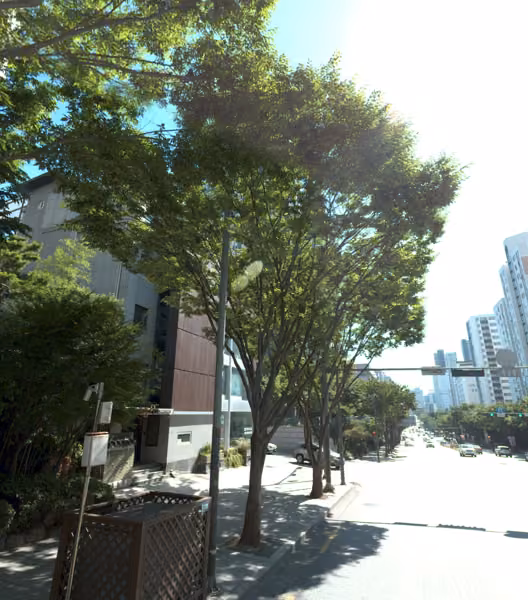 tree photo