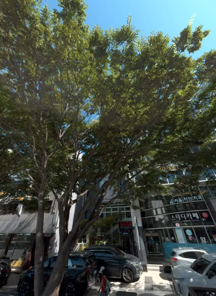 tree photo