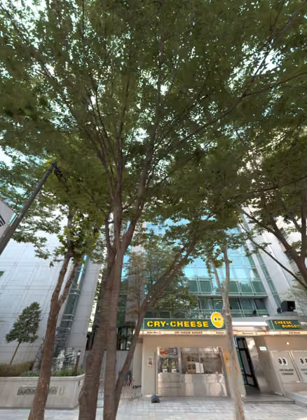 tree photo
