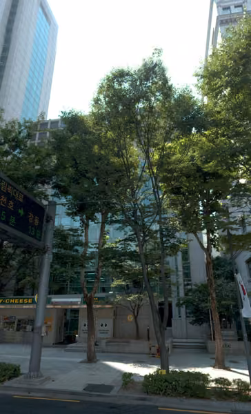 tree photo