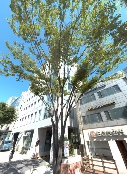 tree photo