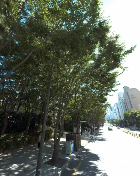 tree photo