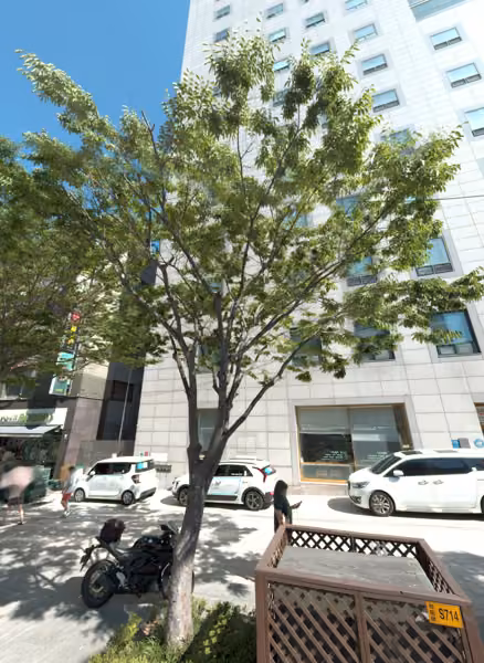 tree photo