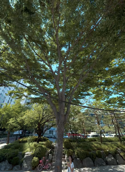 tree photo