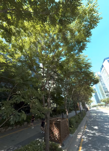 tree photo