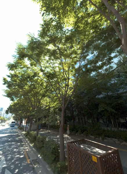 tree photo