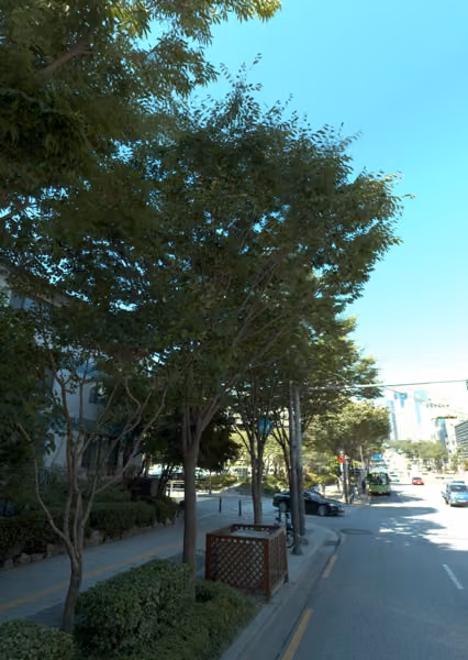 tree photo