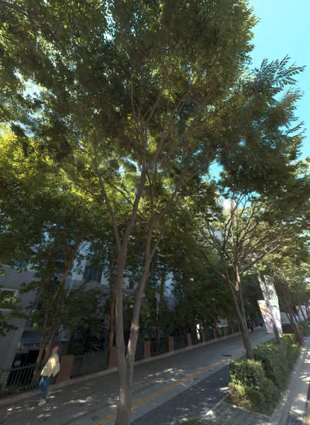 tree photo