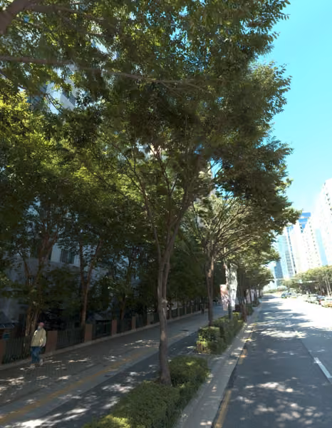 tree photo