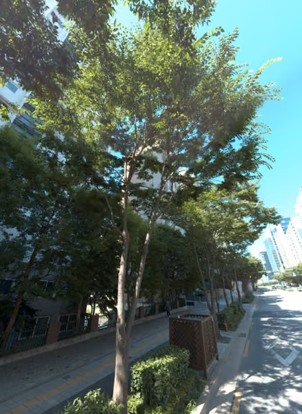 tree photo