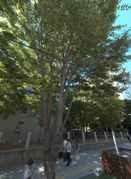 tree photo