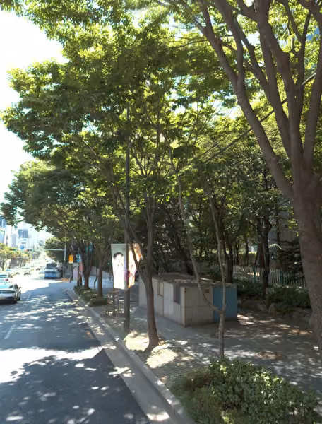 tree photo