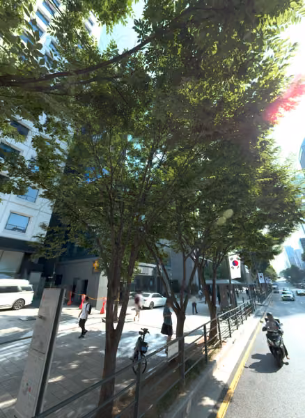 tree photo