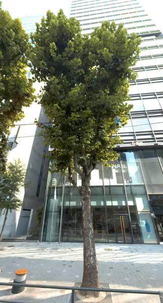 tree photo