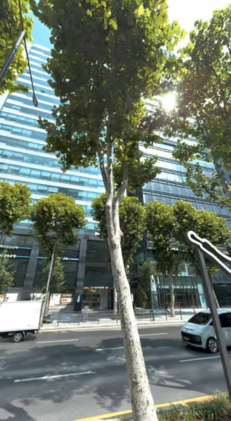 tree photo