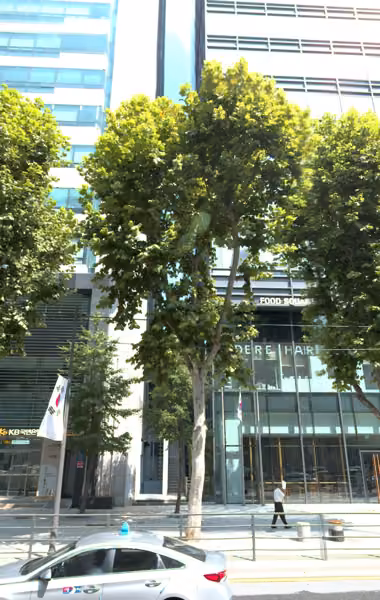 tree photo
