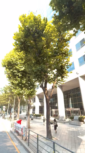 tree photo