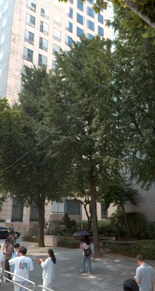 tree photo