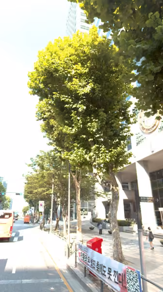 tree photo