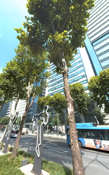 tree photo