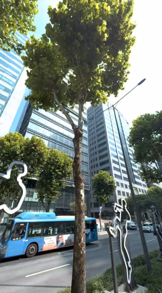 tree photo
