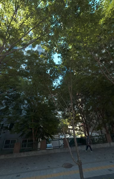 tree photo