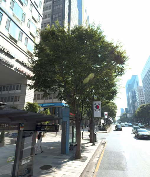 tree photo