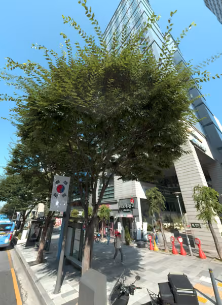 tree photo