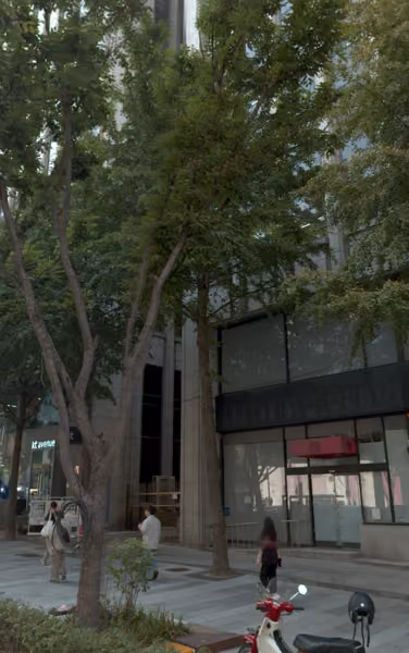 tree photo