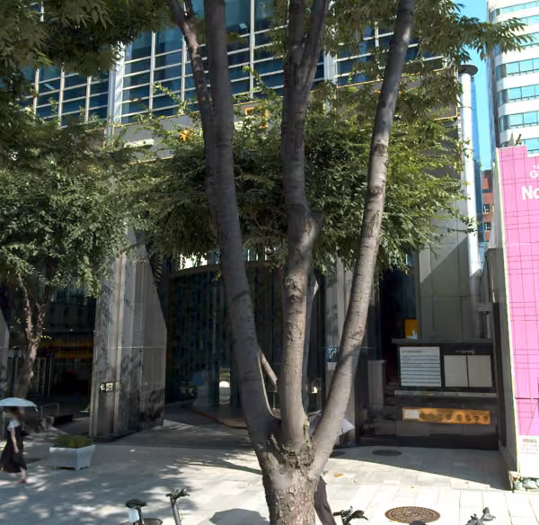 tree photo