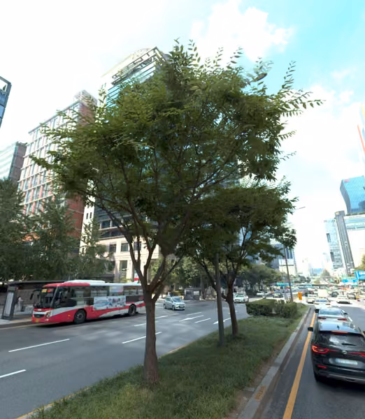 tree photo
