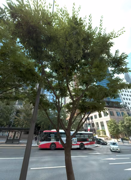 tree photo