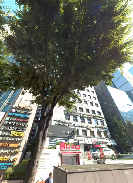 tree photo