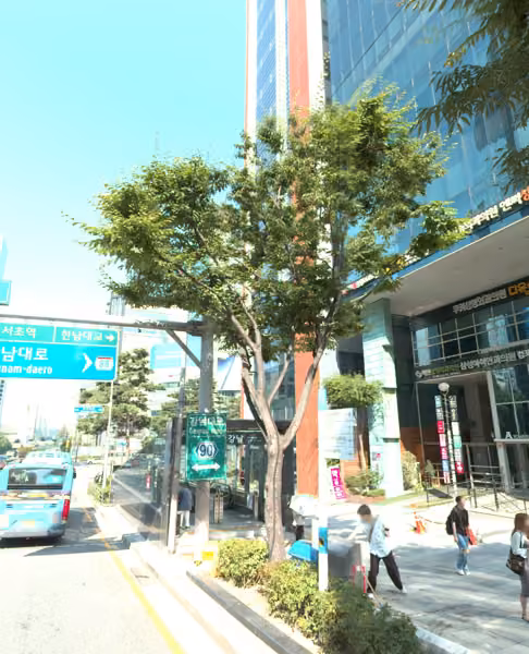 tree photo