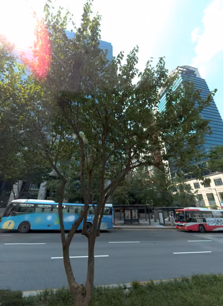 tree photo