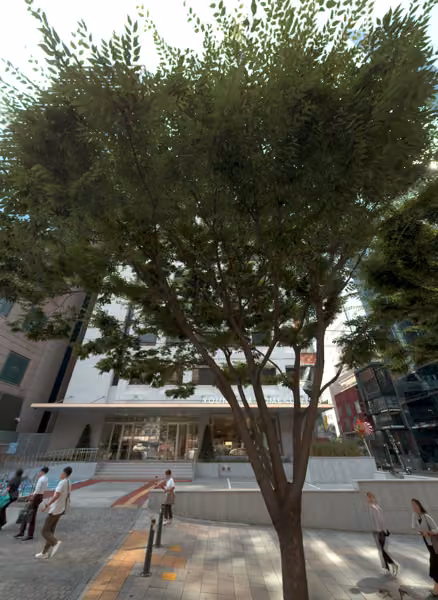 tree photo