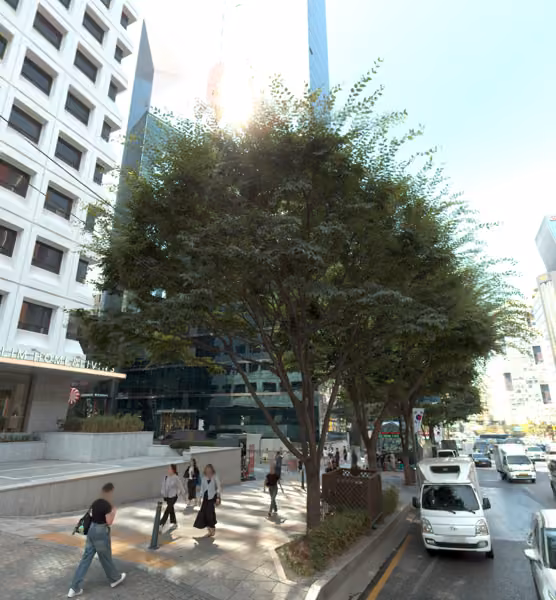 tree photo